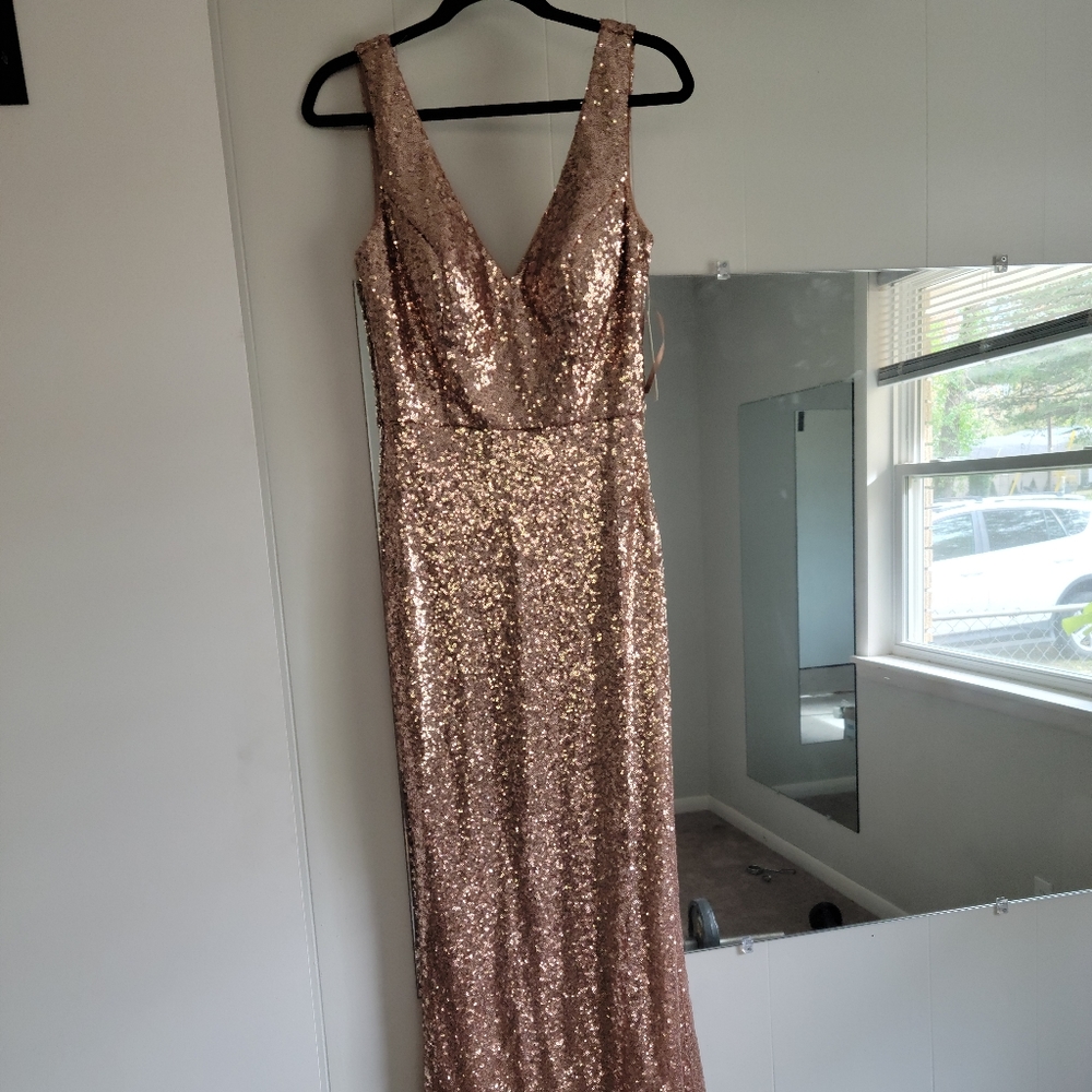 Revelry Dakota Sequin Dress in Rosegold